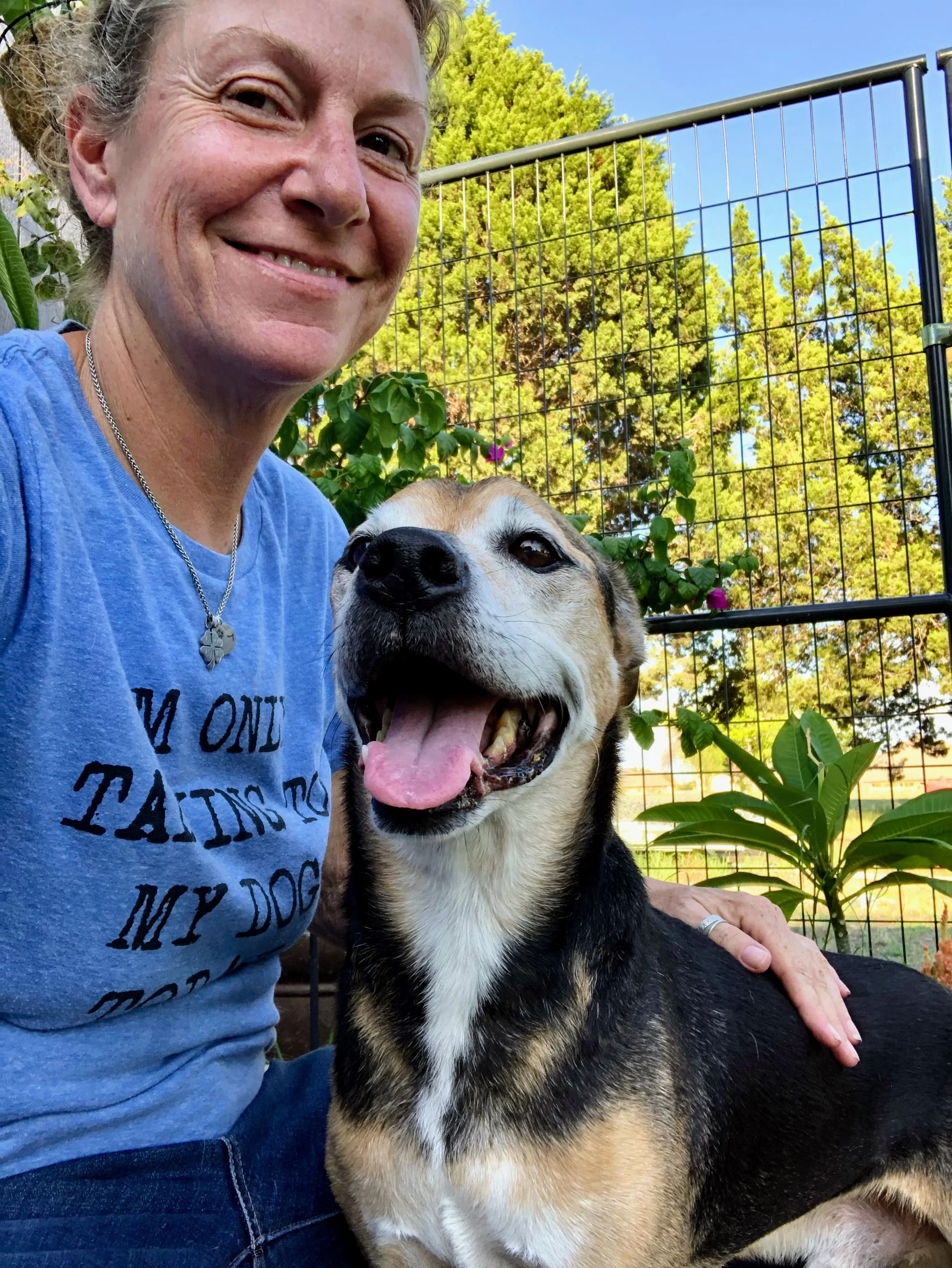 Happy dog Tyree relaxing at The Furry B&B kennel-free boarding in Round Rock TX